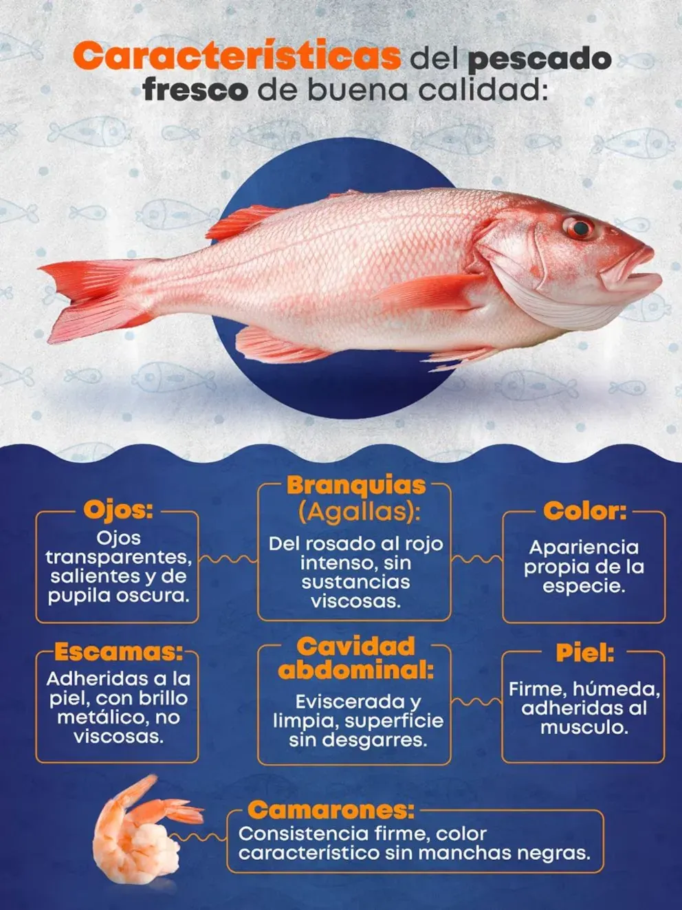 COMPRA PESCADO_11zon.webp