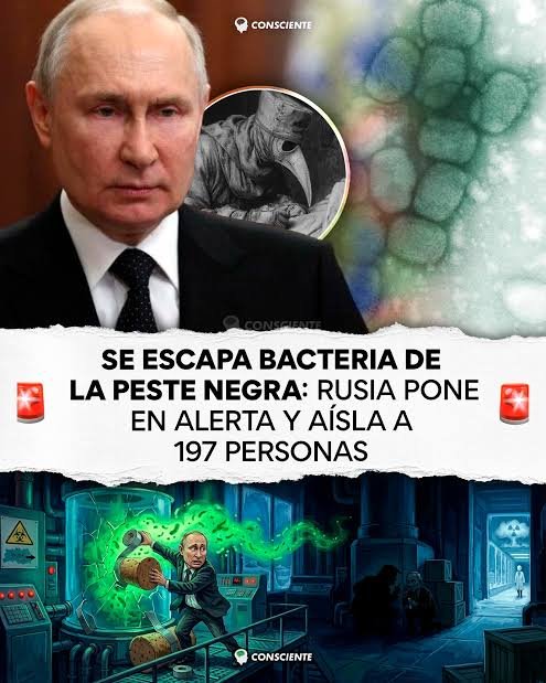 Alerta sanitaria en Rusia: Lo que se sabe sobre el caso sospechoso de peste neumónica en Siberia images (9)
